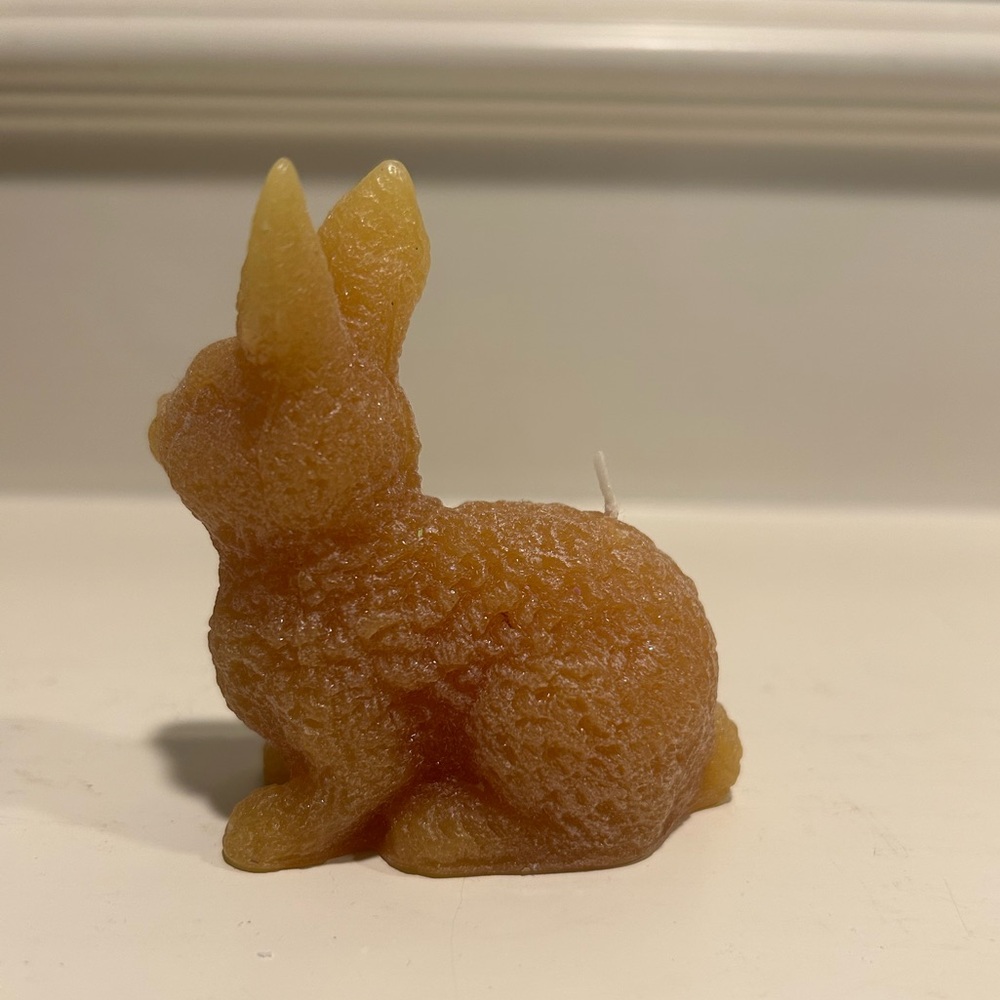 Illuminations Honey Bunny Candle Set - Picture 7 of 13